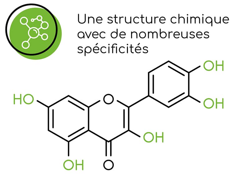 Informations à retenir sur la quercétine : une structure chimique avec de nombreuses spécificités