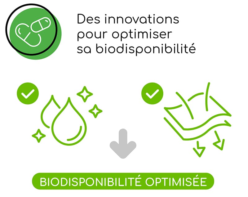 Informations à retenir : des innovations pour optimiser la biodisponibilité de la quercétine