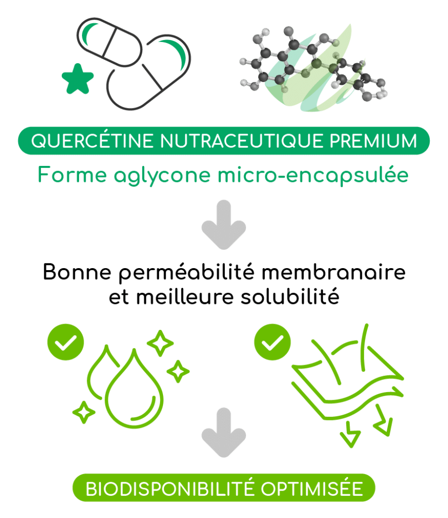 Biodisponibilité de la quercétine nutraceutique premium hydrodispersible